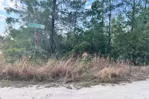 4847 Brockton Ave, Sebring, FL 33875 - Photo 1