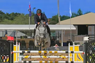 3382 Grand Prix Farms Dr N, Wellington, FL 33414 - Photo 72