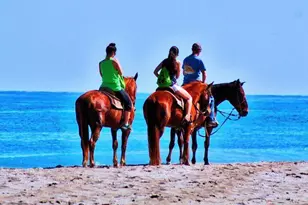 241 NW Toscane Tr, Port Saint Lucie, FL 34986 - Photo 58