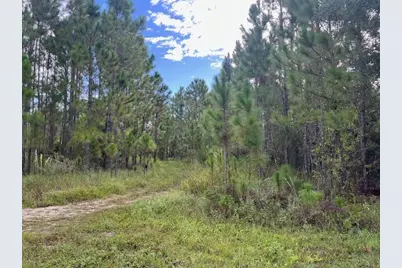 1135 Greenfield Street, Lake Placid, FL 33852 - Photo 2