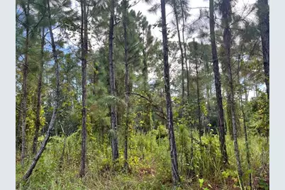 1135 Greenfield Street, Lake Placid, FL 33852 - Photo 8