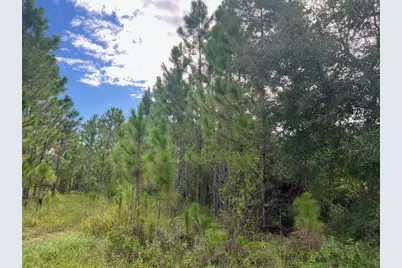 1135 Greenfield Street, Lake Placid, FL 33852 - Photo 12