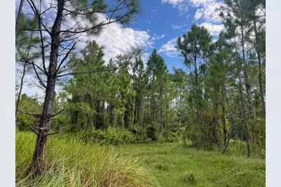 1135 Greenfield Street, Lake Placid, FL 33852 - Photo 10