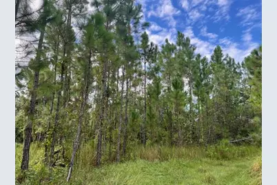 1135 Greenfield Street, Lake Placid, FL 33852 - Photo 6