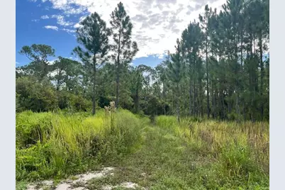 1135 Greenfield Street, Lake Placid, FL 33852 - Photo 14