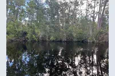 1137 Greenfield Street, Lake Placid, FL 33852 - Photo 12