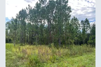 1137 Greenfield Street, Lake Placid, FL 33852 - Photo 8