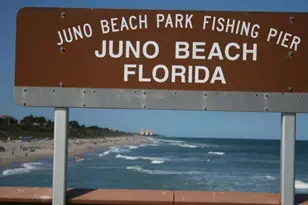 5159 N Hwy A1A Unit #311 B, Hutchinson Island, FL 34949 - Photo 82