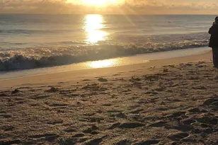 5159 N Hwy A1A Unit #311 B, Hutchinson Island, FL 34949 - Photo 56