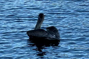 650 Snug Harbor Dr, Boynton Beach, FL 33435 - Photo 30