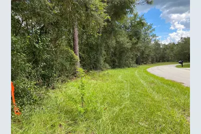 425 E Elgrove Drive, Citrus Springs, FL 34434 - Photo 10