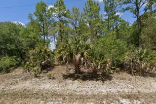 3004 50th St W, Lehigh Acres, FL 33971 - Photo 1