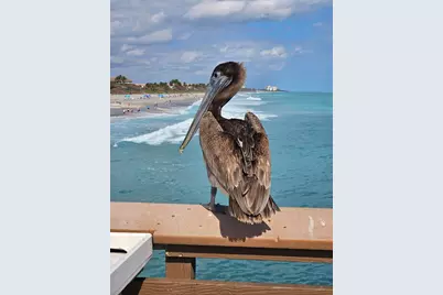 1701 Mizzenmast Way, Jupiter, FL 33477 - Photo 56