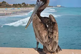 1701 Mizzenmast Way, Jupiter, FL 33477 - Photo 56