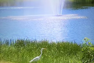 208 Chatham J, West Palm Beach, FL 33417 - Photo 14