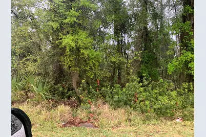 0 SE Unassigned Location Re Avenue, Gainesville, FL 32641 - Photo 4