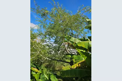 925 SW 39th Lane, Okeechobee, FL 34974 - Photo 26