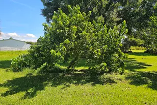 925 SW 39th Ln, Okeechobee, FL 34974 - Photo 28