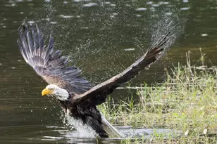 6003 Le Lac Rd, Boca Raton, FL 33496 - Photo 26