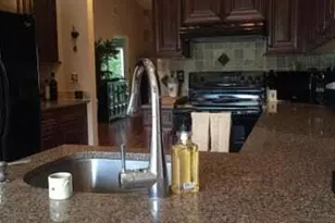 1103 Duncan Cir, Palm Beach Gardens, FL 33418 - Photo 6