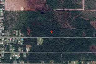 1016 Hyacinth Ave Ave, Sebring, FL 33875 - Photo 1