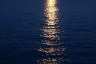 3009 S Ocean Blvd Unit, Highland Beach, FL 33487 - Photo 44