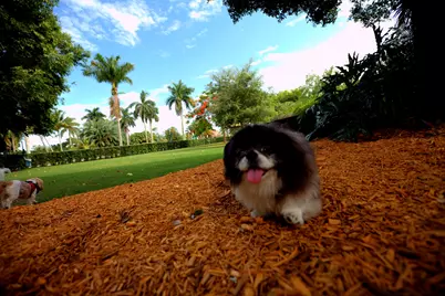 10347 Orchid Reserve Drive, West Palm Beach, FL 33412 - Photo 106