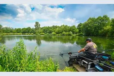 240 Park Avenue, Interlachen, FL 32148 - Photo 2