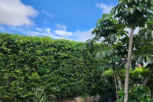 664 W 2nd St, Riviera Beach, FL 33404 - Photo 14