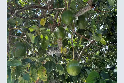 2623 Northside Drive, Lake Worth, FL 33462 - Photo 6