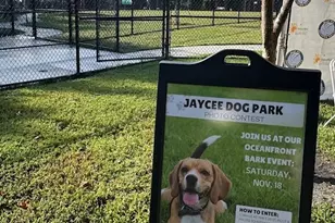 815 S Rd, Boynton Beach, FL 33435 - Photo 62