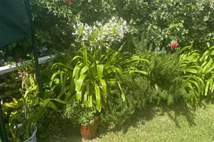 233 Rio Vista Cir, Atlantis, FL 33462 - Photo 30