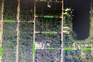 314 NW Spitfire Street NW, Lake Placid, FL 33852 - Photo 1