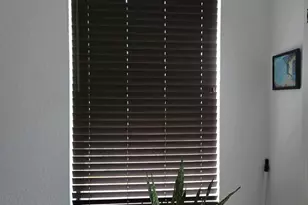 7911 Laina Ln, Boynton Beach, FL 33437 - Photo 32