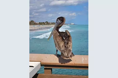 303 Mainsail Circle, Jupiter, FL 33477 - Photo 58