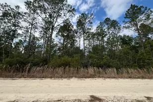 215 Royal Ave, Interlachen, FL 32148 - Photo 1