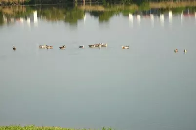 2371 NW 33rd Street #706, Oakland Park, FL 33309 - Photo 28