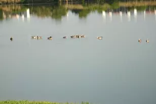 2371 NW 33rd St, Fort Lauderdale, FL 33309 - Photo 28