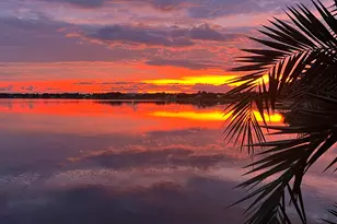 1538 39th St, West Palm Beach, FL 33407 - Photo 82