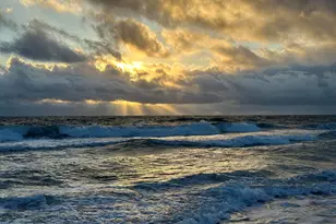 1 N Ocean Blvd, Pompano Beach, FL 33062 - Photo 42