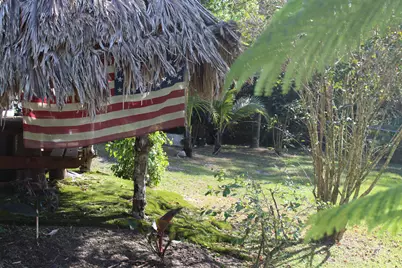 14550 99th Street, Fellsmere, FL 32948 - Photo 46