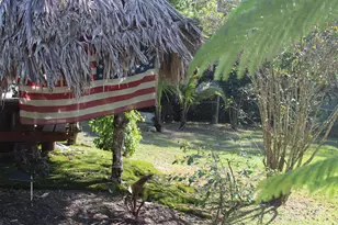 14550 99th St, Fellsmere, FL 32948 - Photo 46