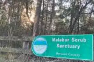 2350 Fallon Blvd NE, Palm Bay, FL 32907 - Photo 68