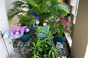 13658 Via Flora Unit, Delray Beach, FL 33484 - Photo 28