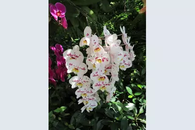 [Address not provided], Boynton Beach, FL 33435 - Photo 32