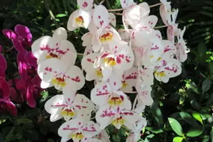 [Address not provided], Boynton Beach, FL 33435 - Photo 32