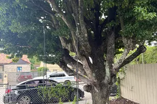 1017 NW 47th St, Miami, FL 33127 - Photo 10