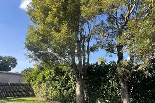 700 N Hepburn Ave, Jupiter, FL 33458 - Photo 4