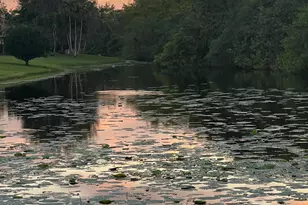 1605 S Club Dr, Wellington, FL 33414 - Photo 24