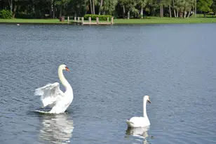 3150 Leewood Terrace, Boca Raton, FL 33431 - Photo 32